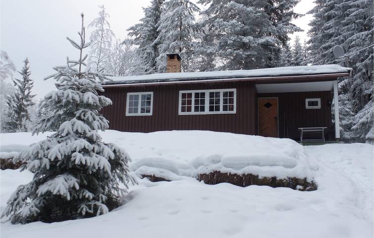 Ferienhaus für 6 Personen, mit Terrasse und Garten, mit Haustier in Ost-Norwegen - 3
