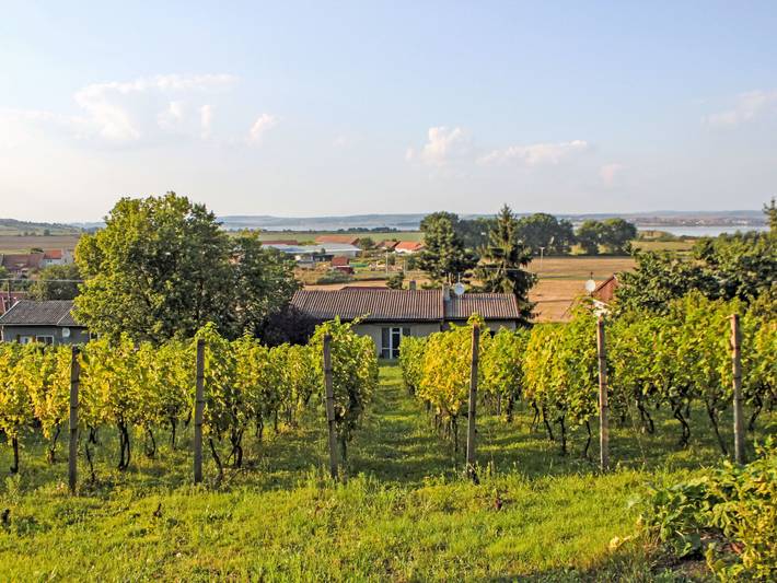 Ferienhaus für 6 Personen, mit Terrasse und Garten sowie Seeblick, mit Haustier - 1