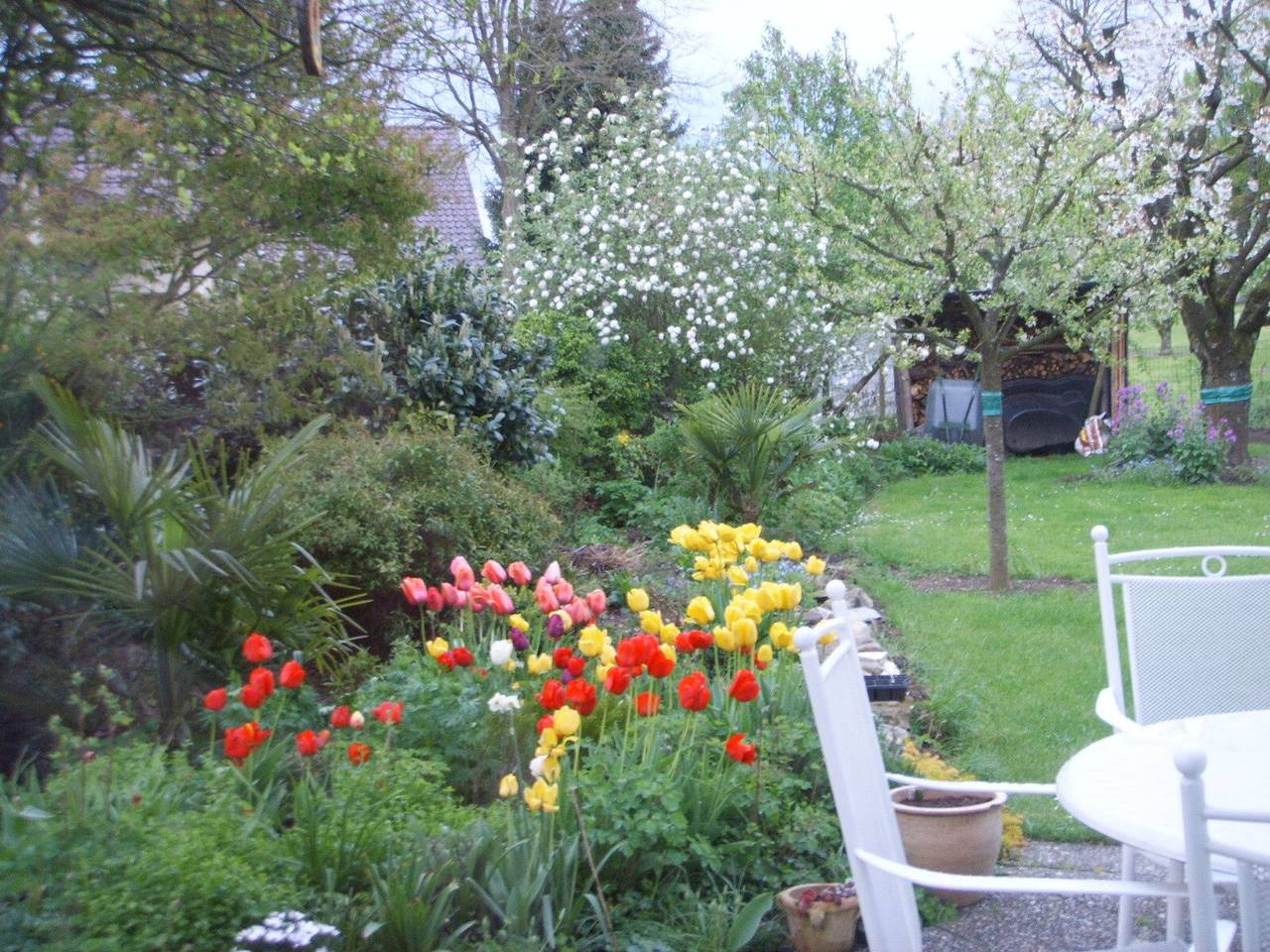 Appartement Noack, 50 m² met eigen terras, tuin en wifi, foto 13