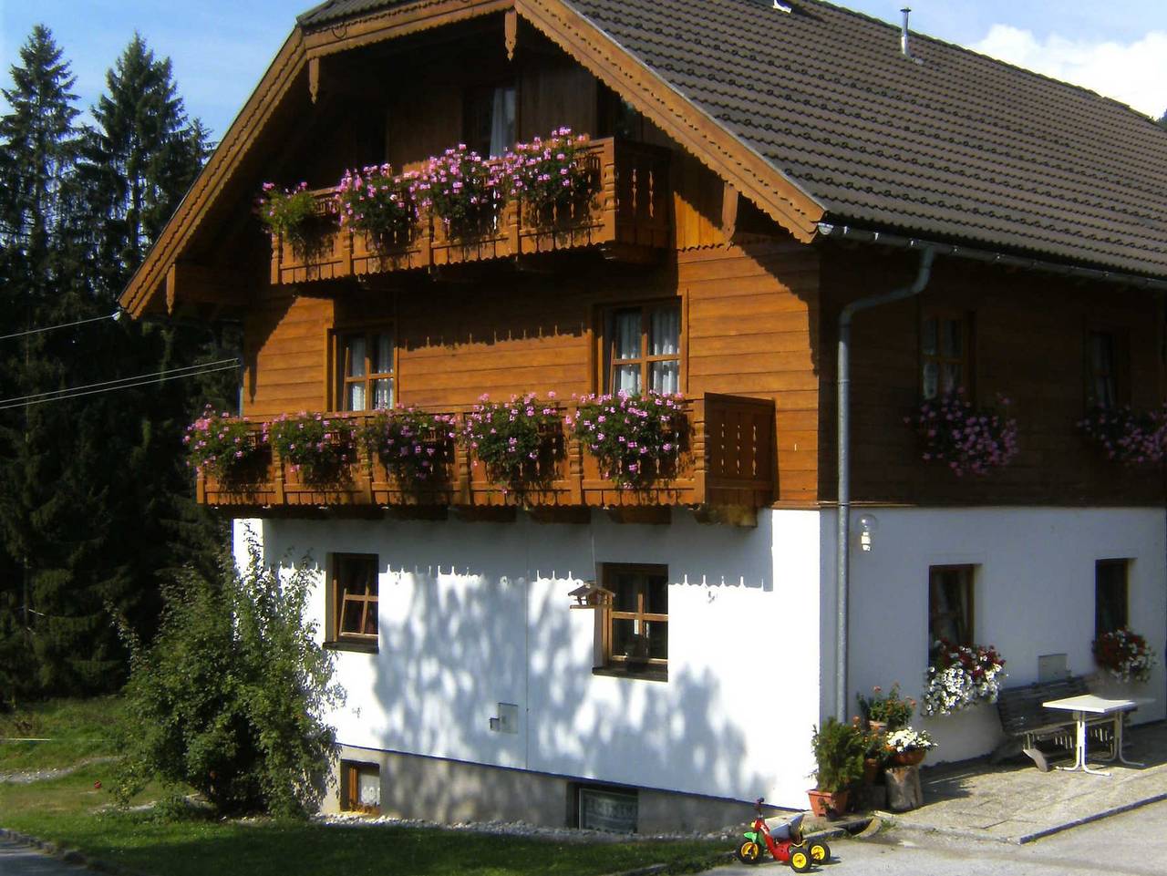 Haus Unterdieterer in Annaberg-Lungötz, Tennengau