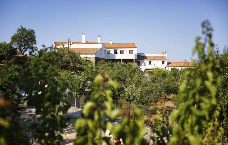 Ferienhaus für 2 Personen, mit Whirlpool und Terrasse, mit Haustier - 1