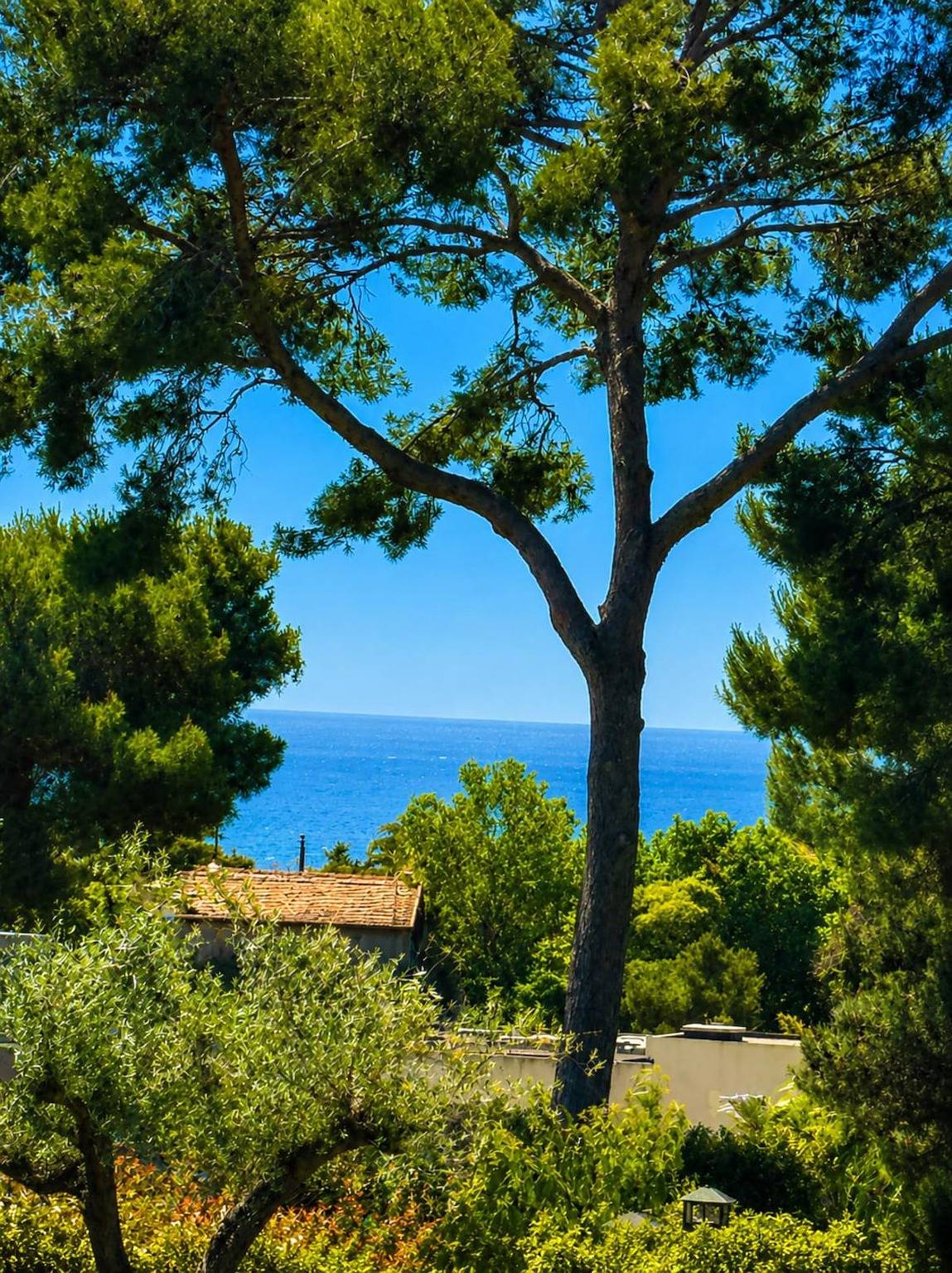 Contemporary luxury villa in Antibes – 3 bedrooms – 6 guests – Pool & parki in Antibes, Mediterranean Coast (France)