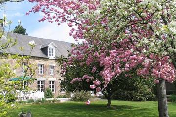Gîte pour 30 personnes, avec jardin ainsi que piscine et balcon, animaux acceptés à Hambye
