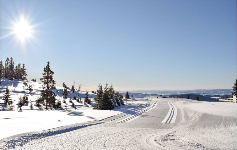 Location de vacances pour 9 personnes, avec jardin dans Sjusjoen - 3