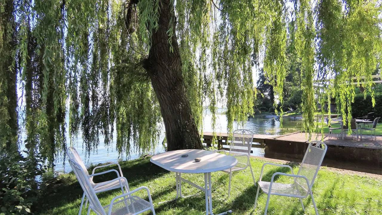 Ganze Ferienwohnung, Ferienwohnung für 4 Personen (100 m²) in Immenstaad am Bodensee in Immenstaad, Immenstaad am Bodensee