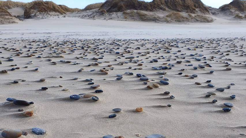 Ferienhaus für 7 Personen, mit Balkon am Ringkøbing Fjord - 3