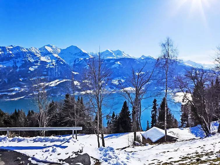 Ganze Wohnung, 2 Pièces 2 Personnes in Beatenberg, Thunersee