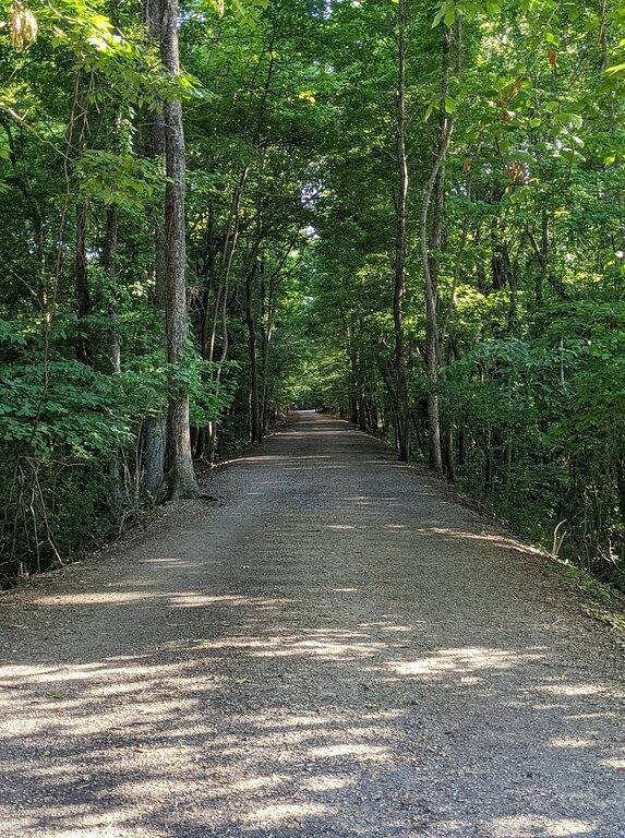 Ganze Wohnung, Game Day Weekend Condo! Walk To Campus! Pet Friendly! Whirlpool Trails! in Oxford (MS), Lafayette County