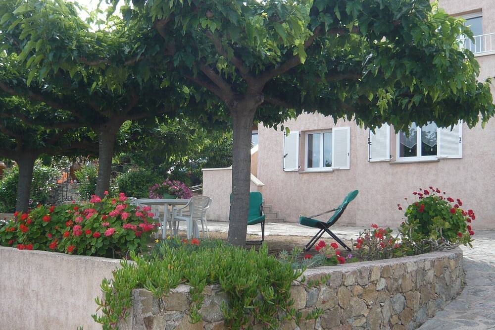 Ganze Wohnung, Schöne Wohnung in Villa in Monticello, Calvi und Umgebung