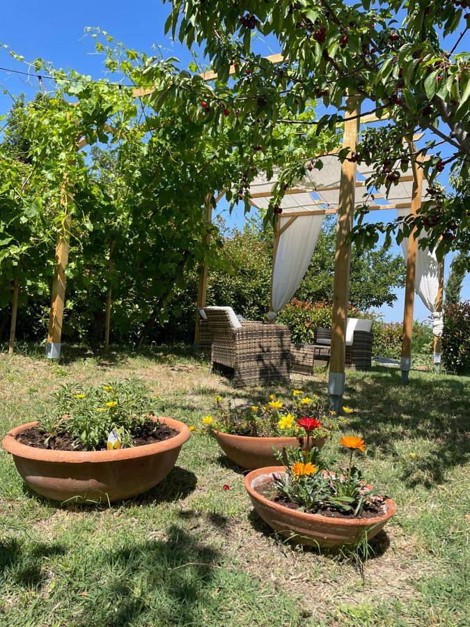 Villa Julieta-casolare di campagna recentemente ristrutturato in Belvedere Ostrense, Ancona Provinz