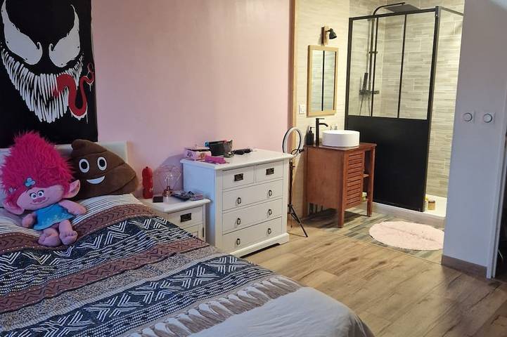 Location de vacances pour 8 personnes, avec jacuzzi à Bompas - 3