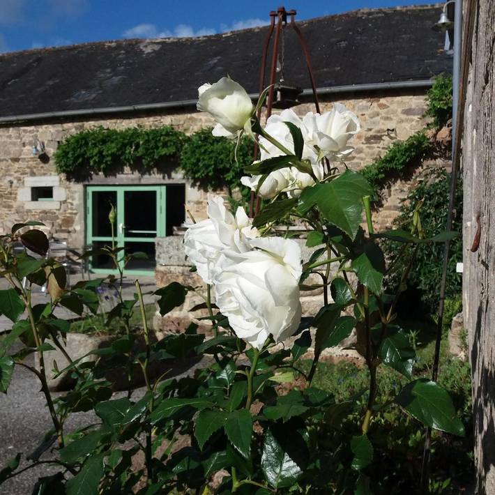 Chambre d’hôte pour 2 personnes à Elliant