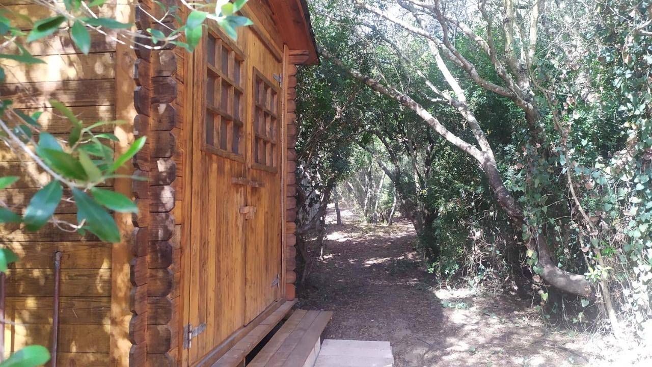 Tulpa Cádiz in San José de Malcocinado, Medina-Sidonia