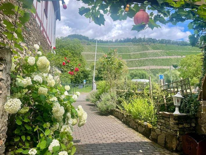 Ferienwohnung für 5 Personen, mit Terrasse und Ausblick in Brauneberg - 3