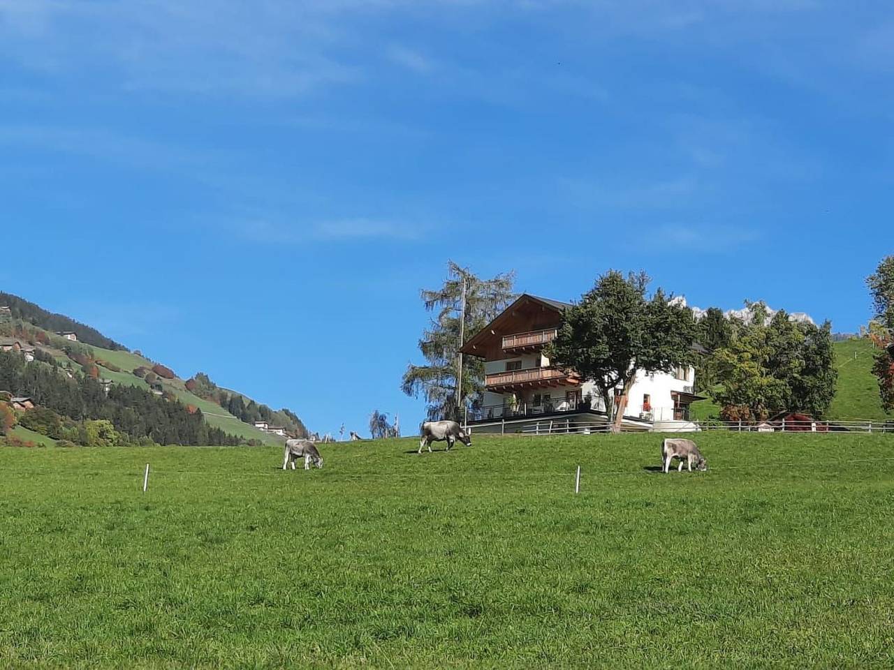 Ganze Wohnung, Tera in St. Peter (Bozen), Villnöß