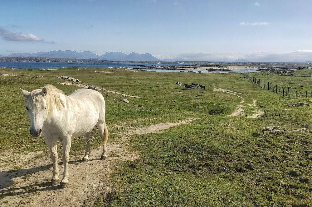 Casa vacanza a Connemara a partire da 245€ a notte
