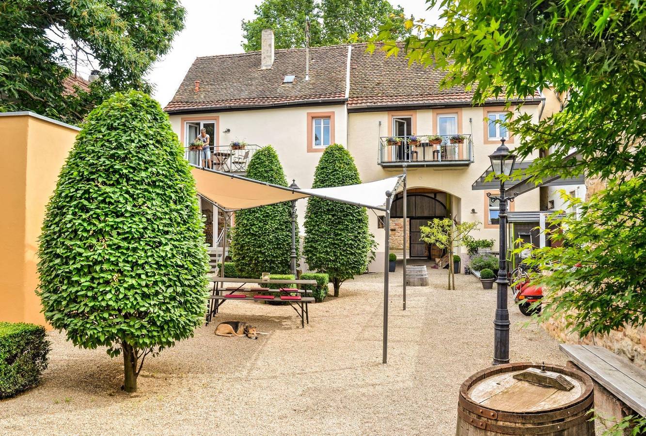 Ferienwohnung für 3 Personen in Neustadt an der Weinstraße, Pfälzer Rheinebene