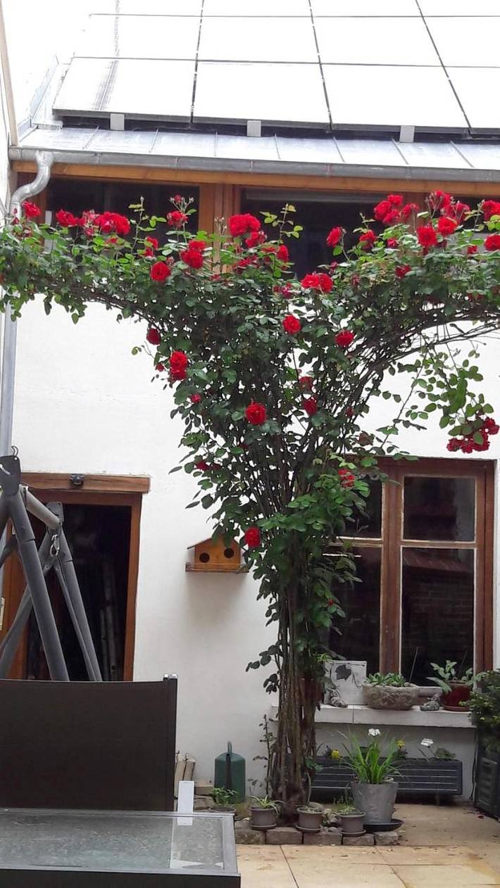 Gîte pour 4 personnes, avec vue à Auxonne - 4