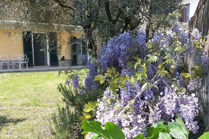 Ferienhaus für 6 Personen, mit Garten - 1