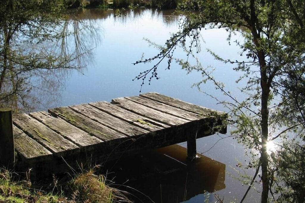 Cottage for 6 People in Tasman (New Zealand), New Zealand