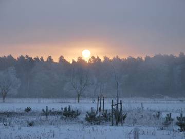 Ferienhaus für 10 Personen, mit Garten und Sauna in Ueckermünde