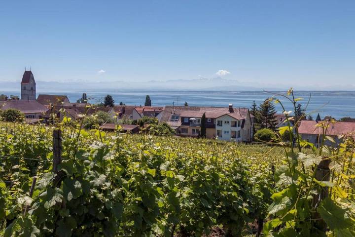 Ferienwohnung für 2 Personen, mit Balkon und Garten in Hagnau am Bodensee - 3