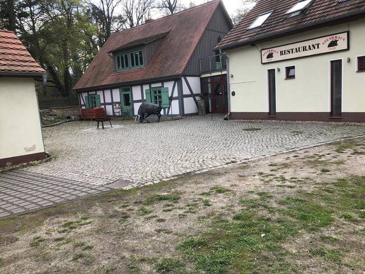 Ferienwohnung für 4 Personen, mit Terrasse und Garten sowie Seeblick und Ausblick in Bestensee - 4