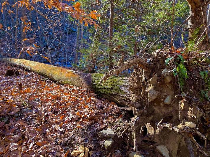 Ferienhaus für 4 Personen, mit Whirlpool - 1