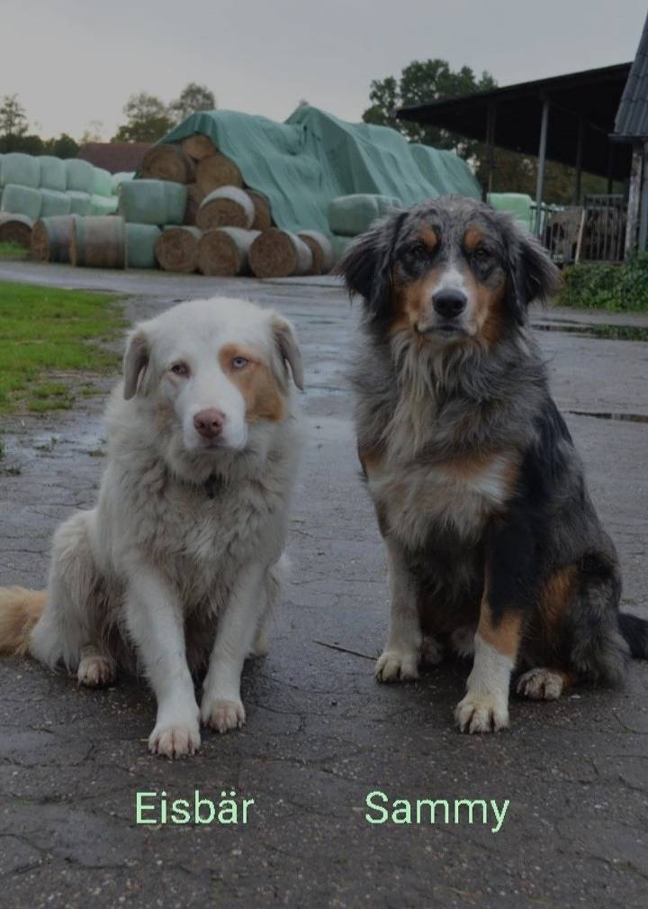 Ferienhof-Meyer in Wingst, Cuxland