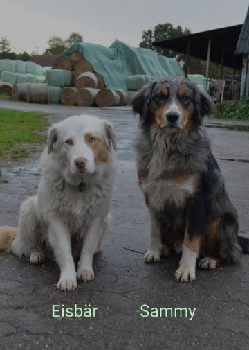 Ferienhaus für 6 Personen in Wingst, Cuxland, Bild 4
