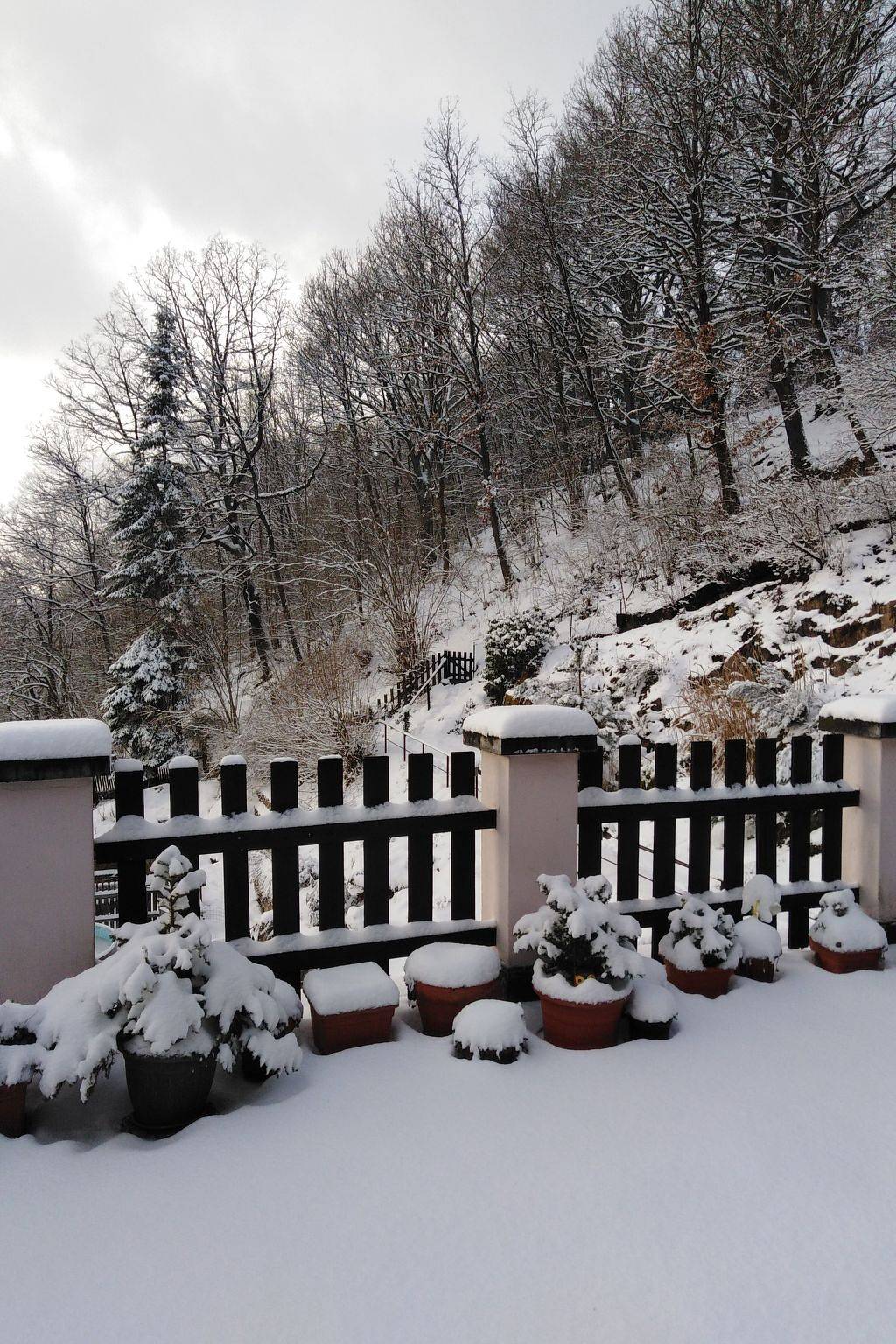 Appartement entier, Jagd auf Ldoge in Karlovy Vary, Bohême occidentale