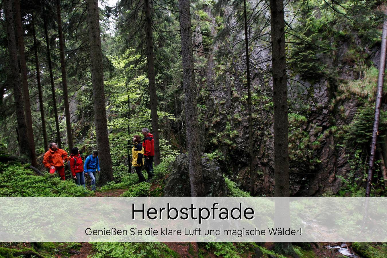 Ganze Ferienwohnung, Ferienwohnung Relax in Oberhof, Rennsteig