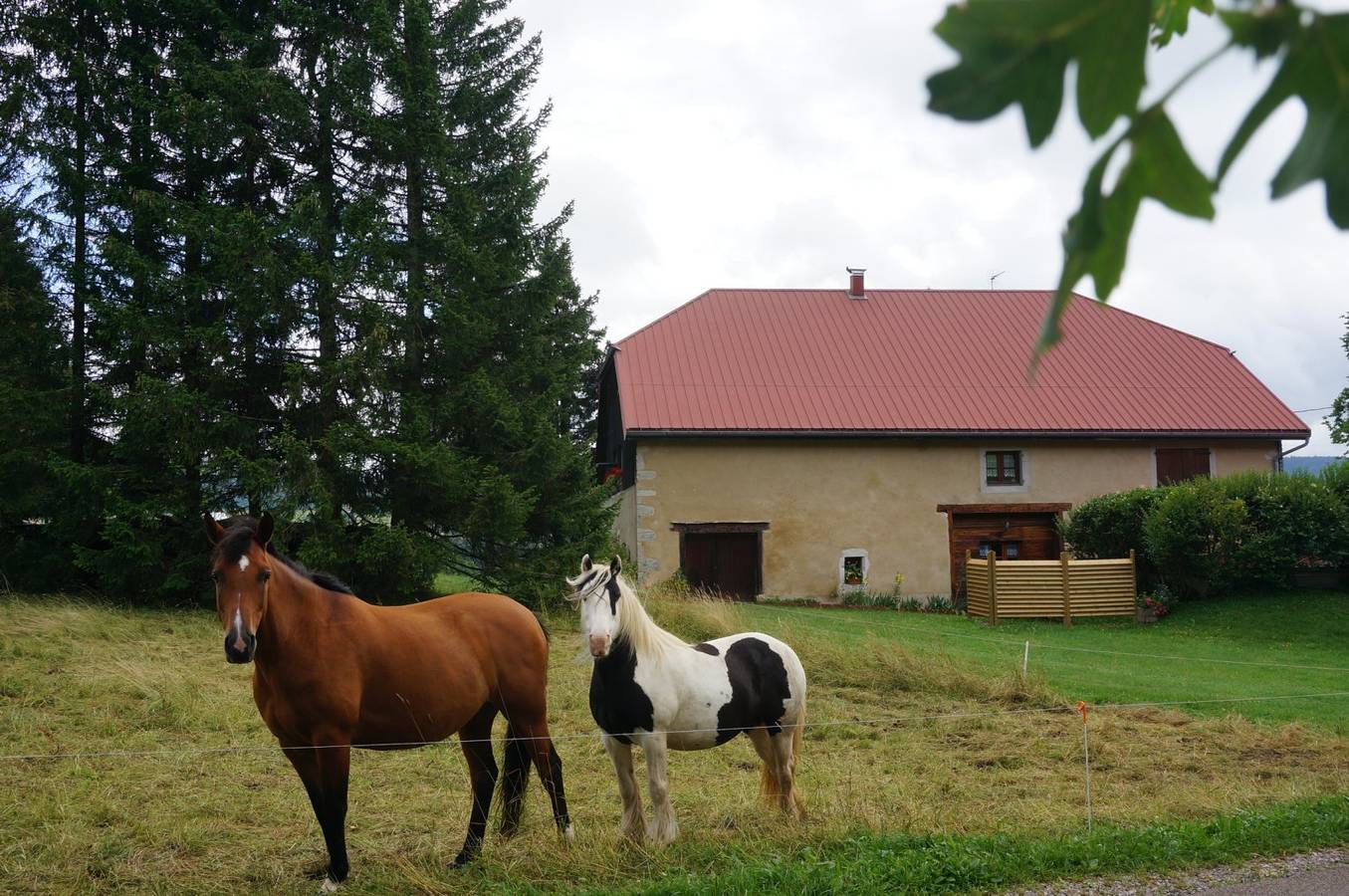 Studio entier, Gîte de vacances 2 personnes : "Le Bois Gentil", Jura in Foncine-le-Haut, Parc naturel régional du Haut-Jura