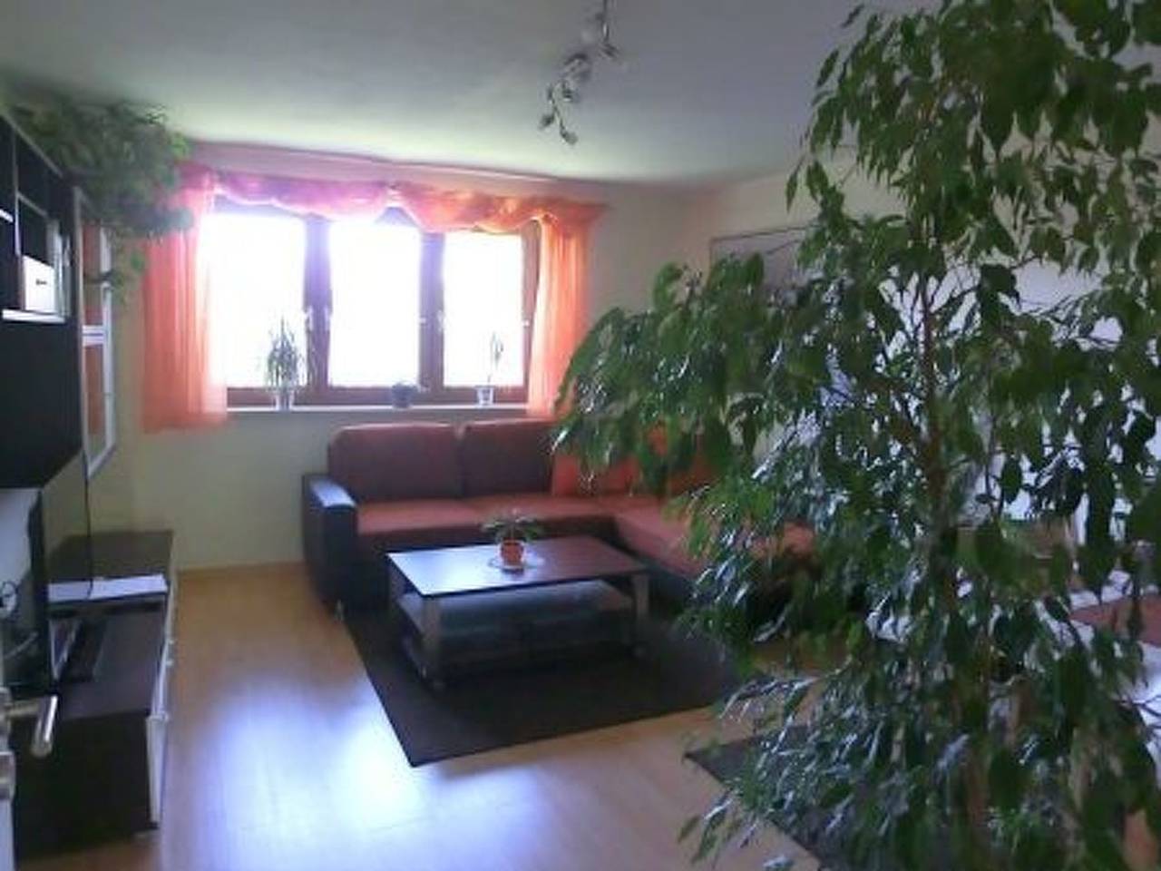 Ganze Wohnung, Grafing in Grafing, Oberbayern