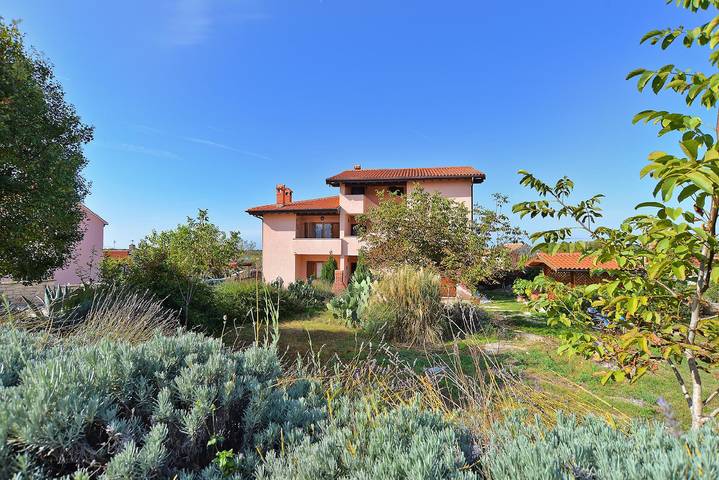 Ferienwohnung für 4 Personen, mit Terrasse, mit Haustier in Bale