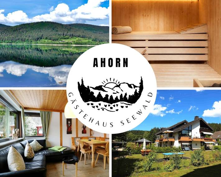 Ferienwohnung für 4 Personen, mit Garten und Sauna sowie Terrasse, kinderfreundlich - 1