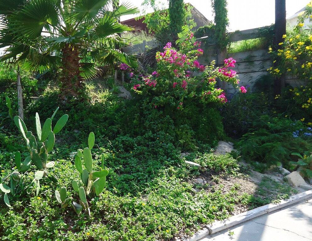 Ganze Wohnung, Tarpon! -Lg Schöne 1 Br, 1 Ba, hundefreundlich, eingezäunten Hof, zu Fuß zum Strand! in Port Aransas, Mustang Island