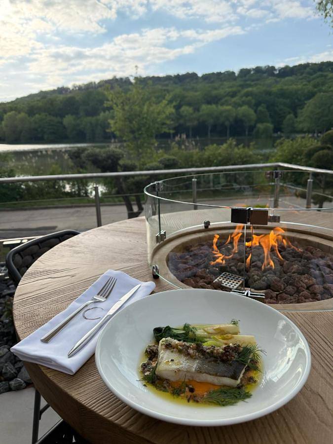 Hôtel pour 2 personnes, avec terrasse et vue, animaux acceptés à Contrexéville - 4