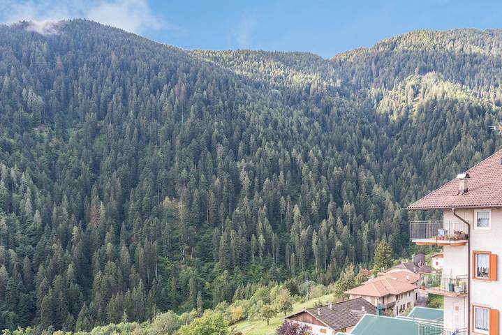 Entire apartment, Apartment 'Casa Al Sole' with Mountain View, Balcony and Wi-Fi in Bresimo, Ortler Alps