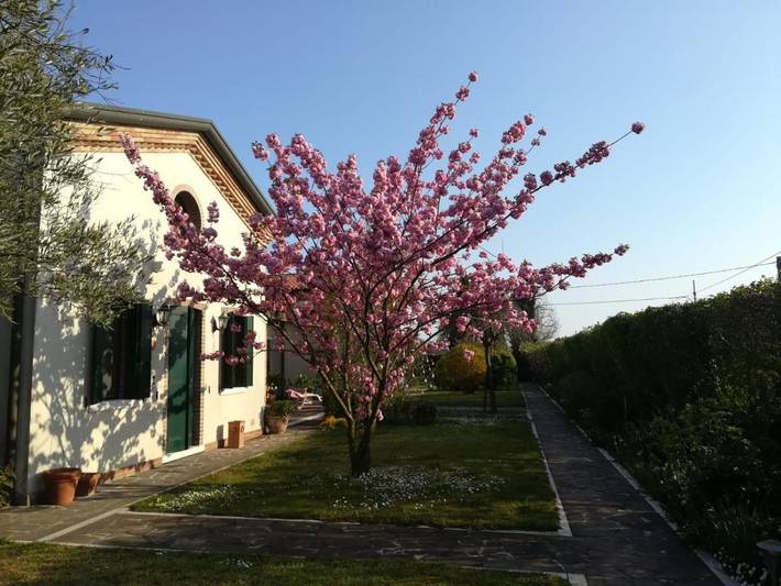 B&b per 2 persone, con Giardino a Cavallino-Treporti