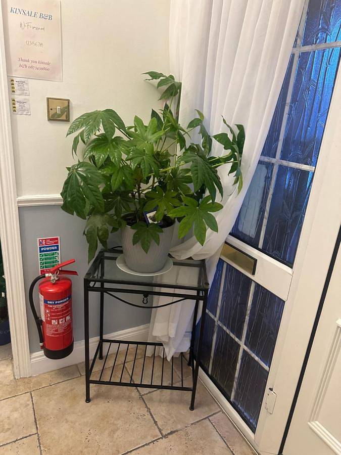 Chambre d’hôte pour 4 personnes, avec vue à Kinsale - 2