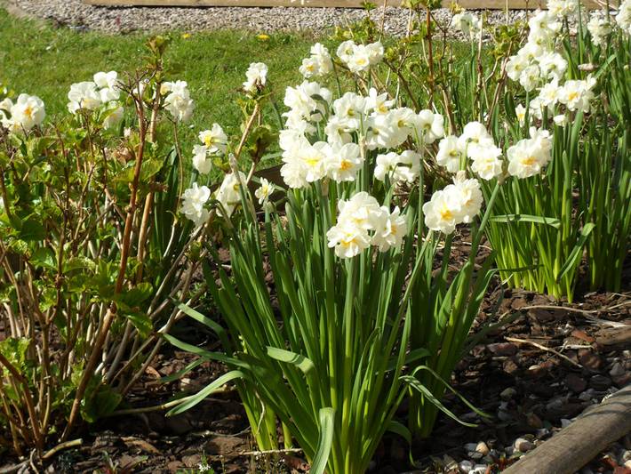 Gîte pour 3 personnes, avec jardin à Merlimont - 3