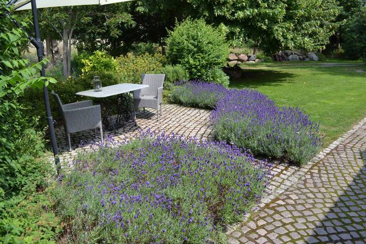 Ganze Ferienwohnung, Ferienwohnung in der Natur mit Terrasse in Sehlen, Bergen auf Rügen und Umgebung