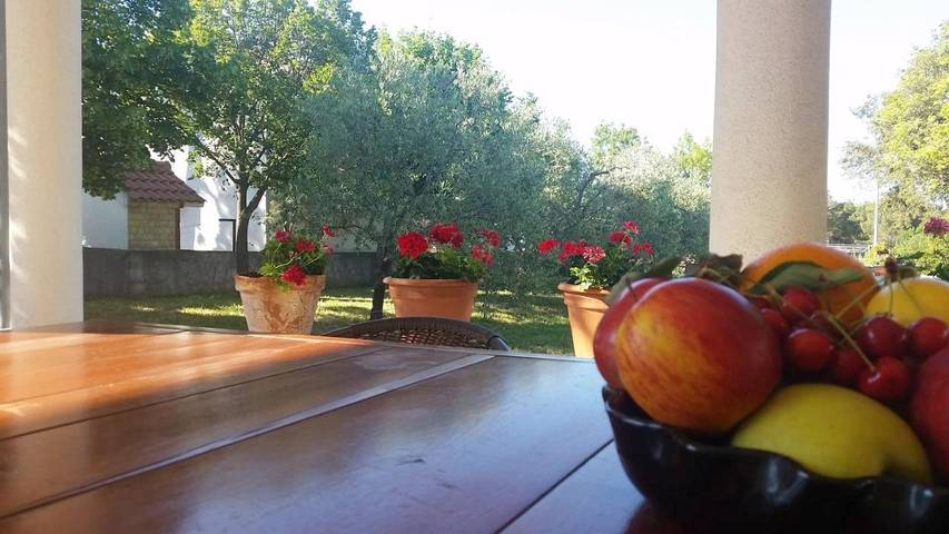 Maison d’hôte pour 12 personnes, avec jardin dans Région de Zadar - 4