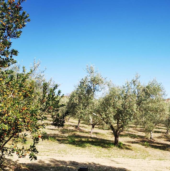 Maison de campagne pour 4 personnes, avec vue et jardin à Racalmuto - 4