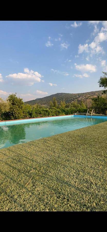 Casa rural para 10 personas, con vistas y terraza además de jardín y piscina, Se admiten mascotas en Reolid