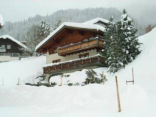 Apartamento vacacional entero, Appartamento da 1 locale in Davos, Plessur alps