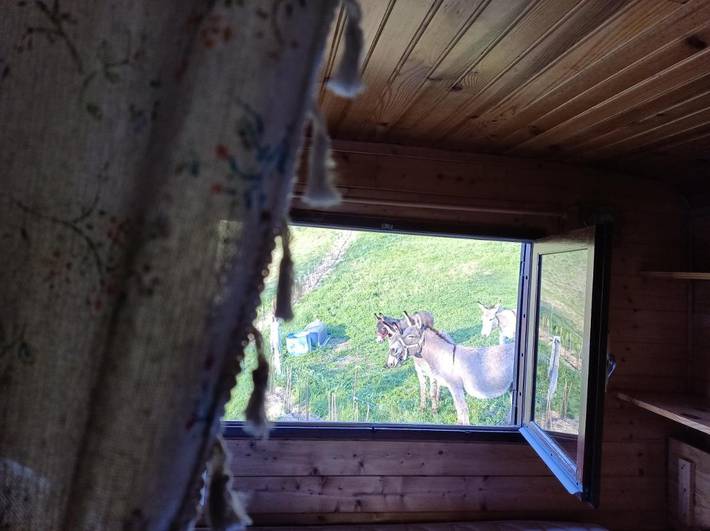 Tente pour 2 personnes, avec jardin et vue, adapté aux familles dans la Drôme - 3