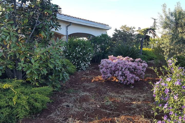 Villa per 4 persone, con giardino - 1