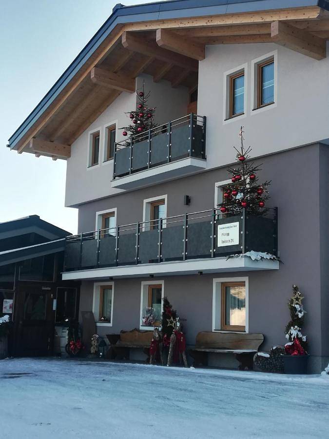 Ganze Wohnung, Apartment Hochkönigblick Pilzegg in Lend, Ski Amadé